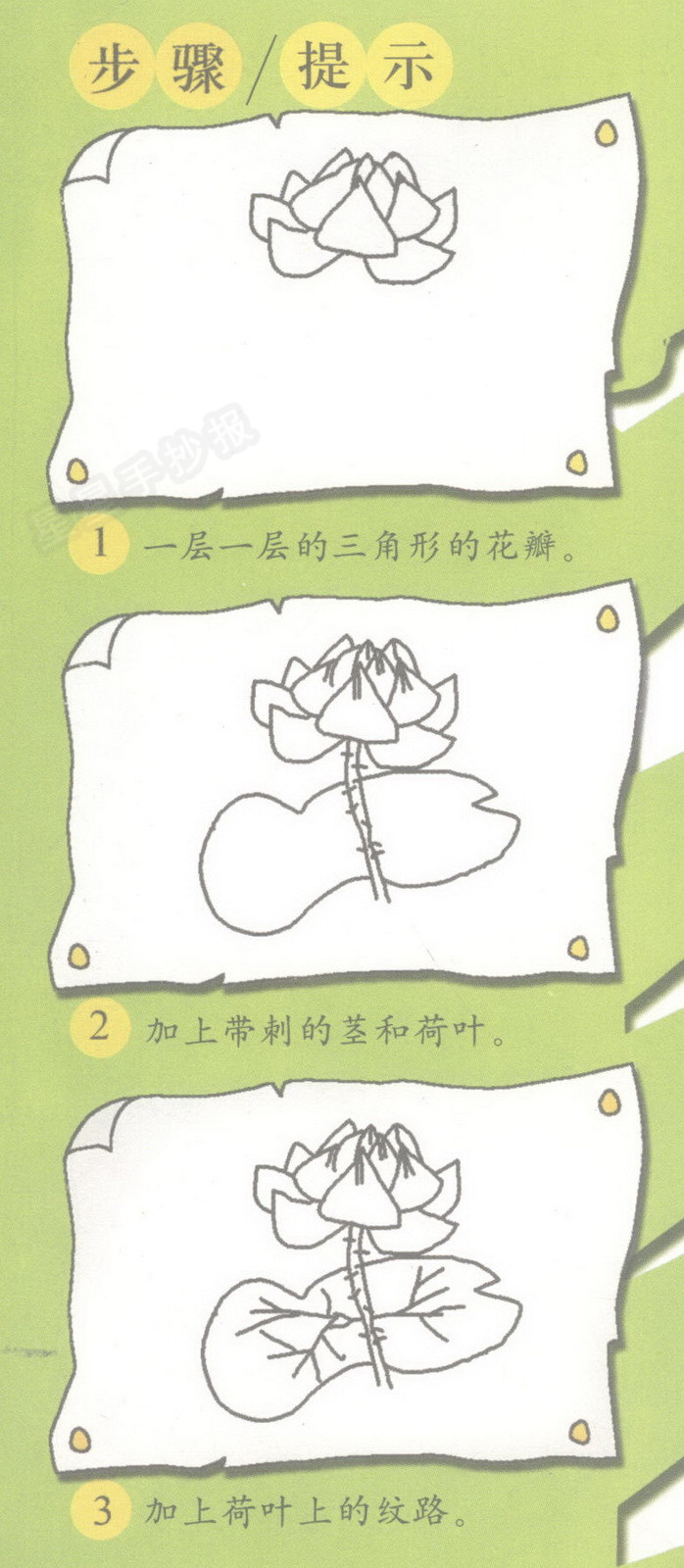 荷花简笔画怎么画