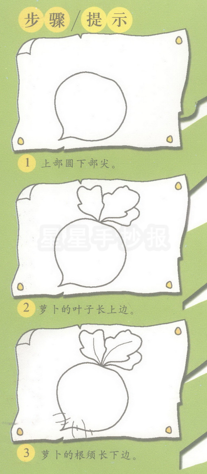 水萝卜简笔画
