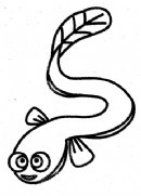 鳗鱼简笔画