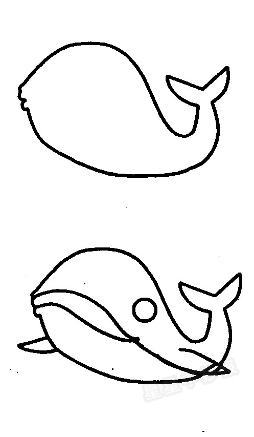 鲸鱼简笔画图片教程