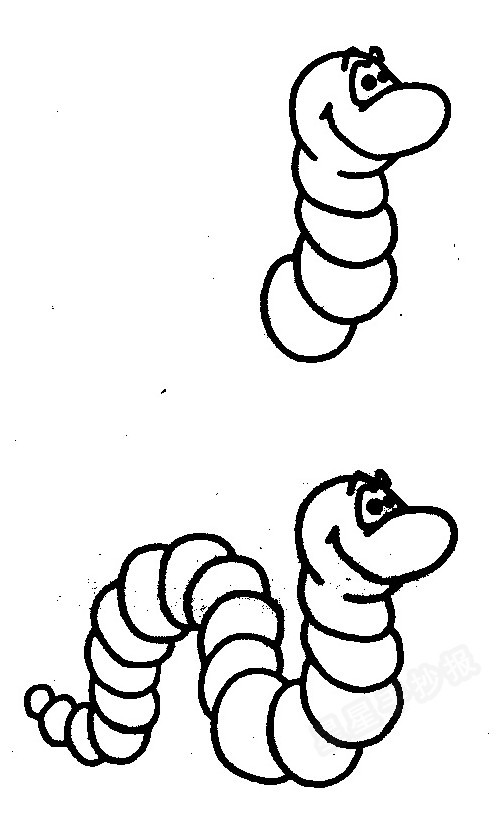 小虫简笔画