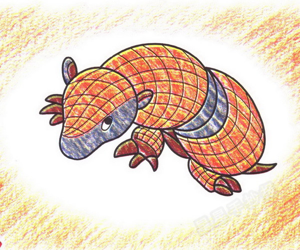 犰狳简笔画