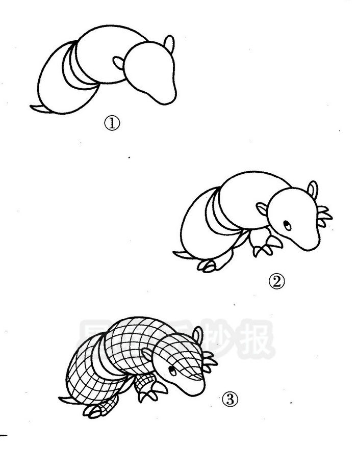 犰狳简笔画