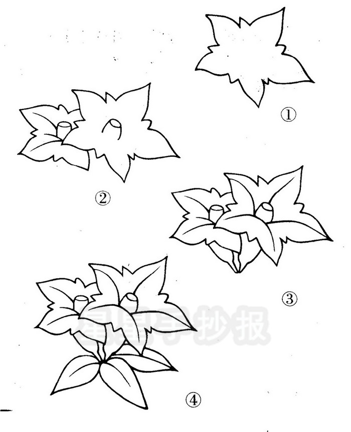 杜鹃花怎么画