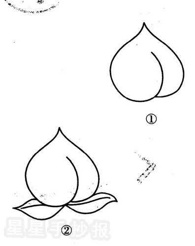 桃子简笔画怎么画