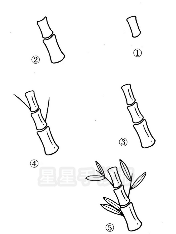 竹子简笔画怎么画