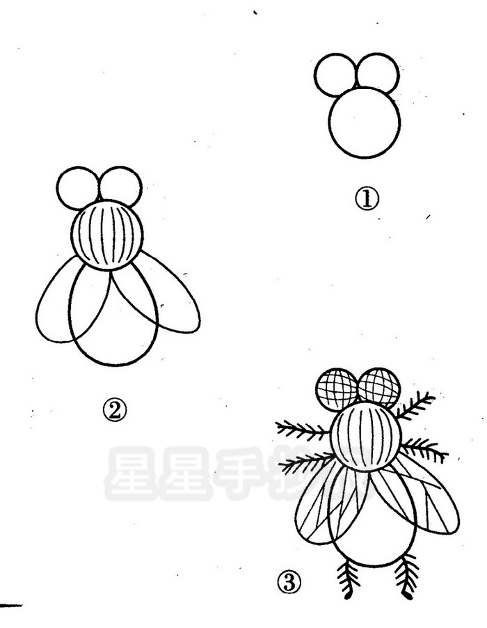 苍蝇简笔画
