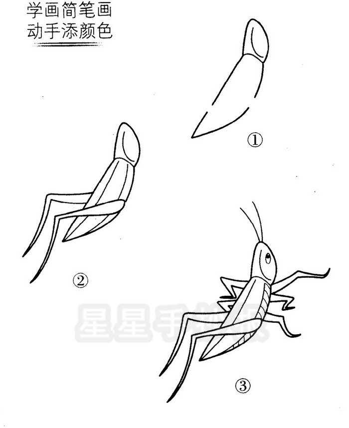 蚱蜢简笔画
