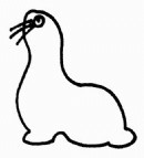 海狮简笔画简单画法