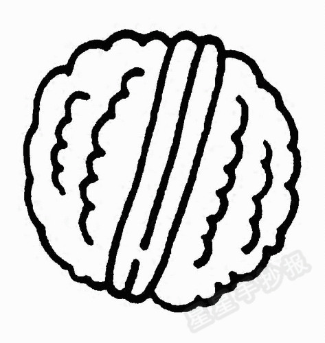 核桃简笔画怎么画