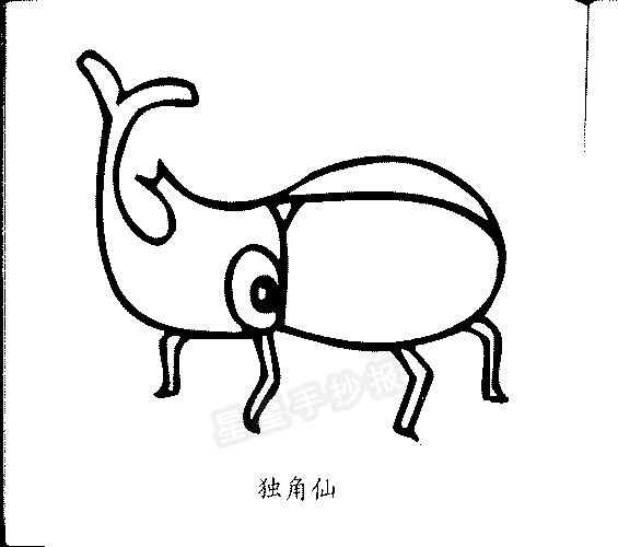 独角仙简笔画