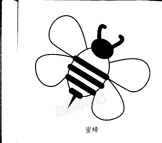 动物简笔画 >> 正文内容   蜜蜂的食物特征资料: 蜜蜂以植物的花粉和