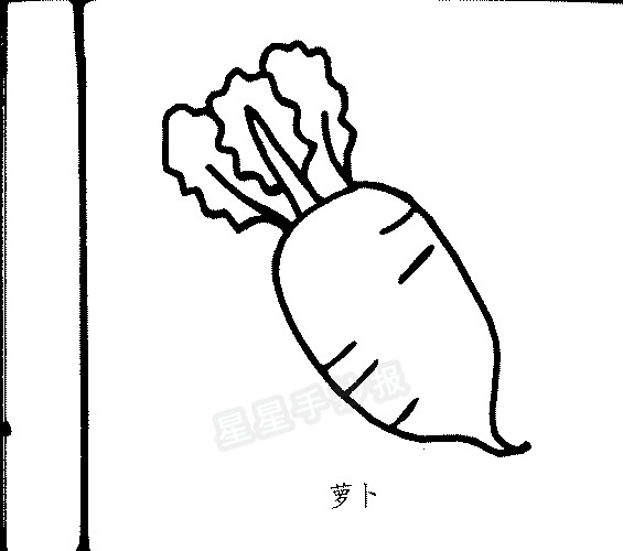 大萝卜简笔画