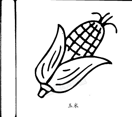玉米简笔画简单画法