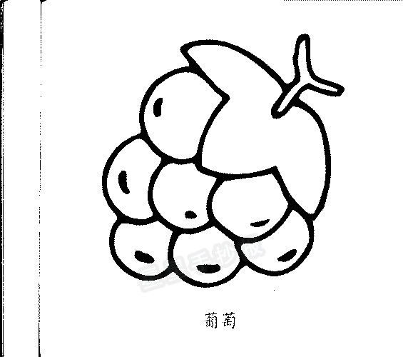 葡萄简笔画图片画法