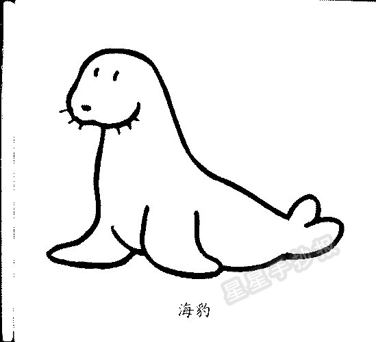 小海豹各种形态简笔画