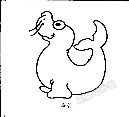 小海豹各种形态简笔画