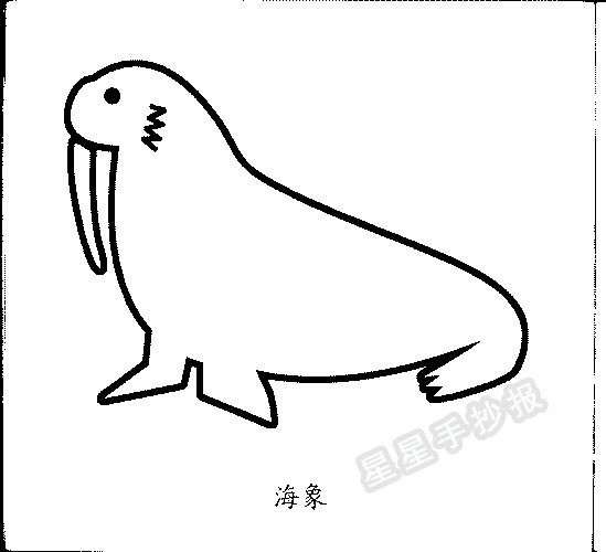 海象简笔画图片教程