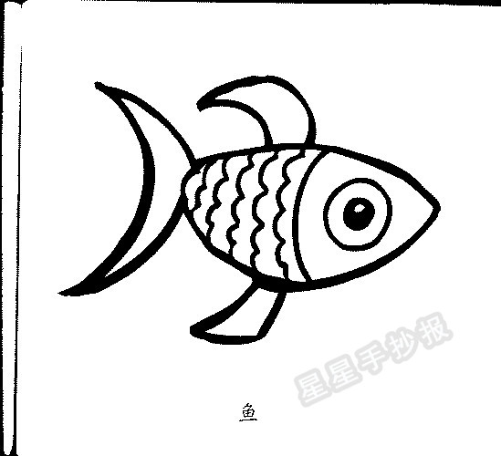 鱼简笔画图片教程