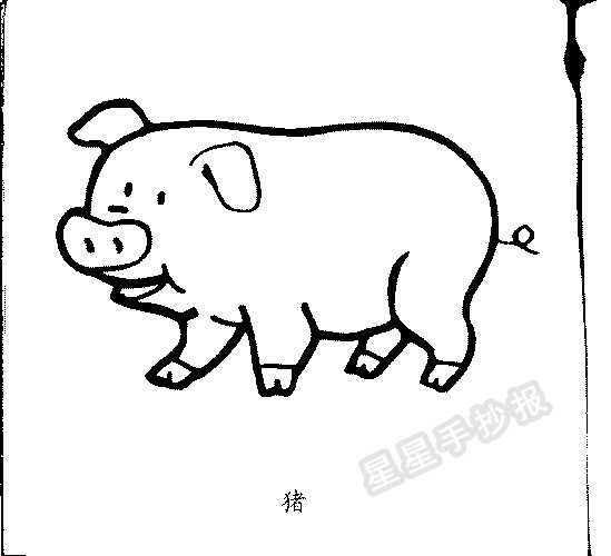 猪简笔画