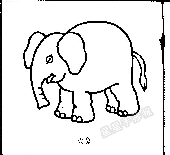 物种分类大象或象是目前世界陆地上最大的哺乳动物,属于长鼻目,只有一