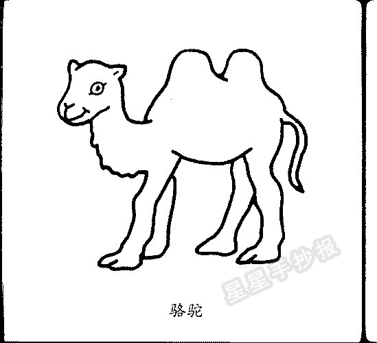 骆驼简笔画简单画法