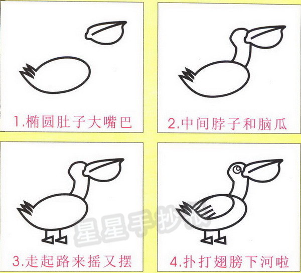 鹈鹕简笔画图片画法