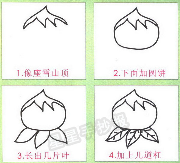桃子简笔画图片画法
