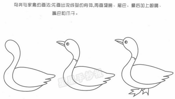 动物简笔画画法教程