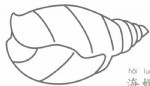 海螺简笔画简单画法