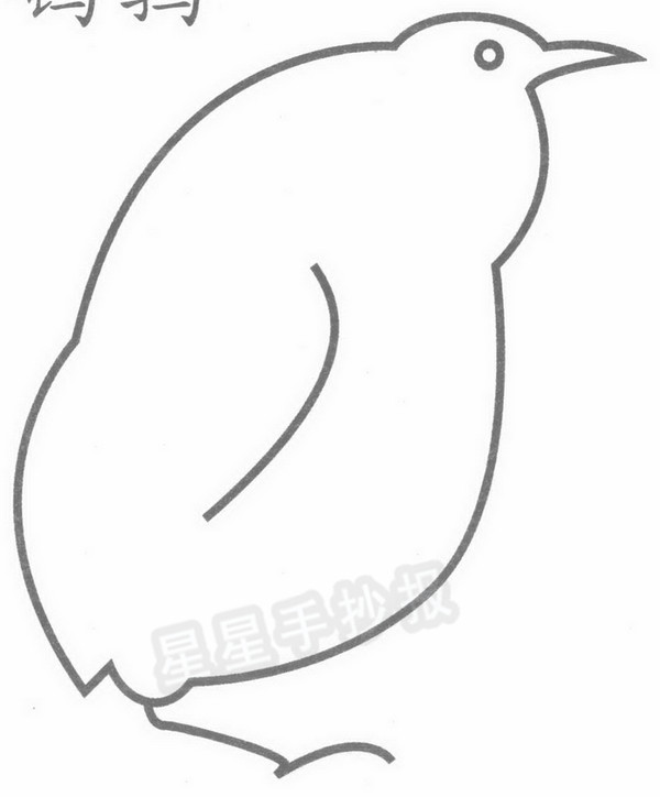 鹌鹑简笔画