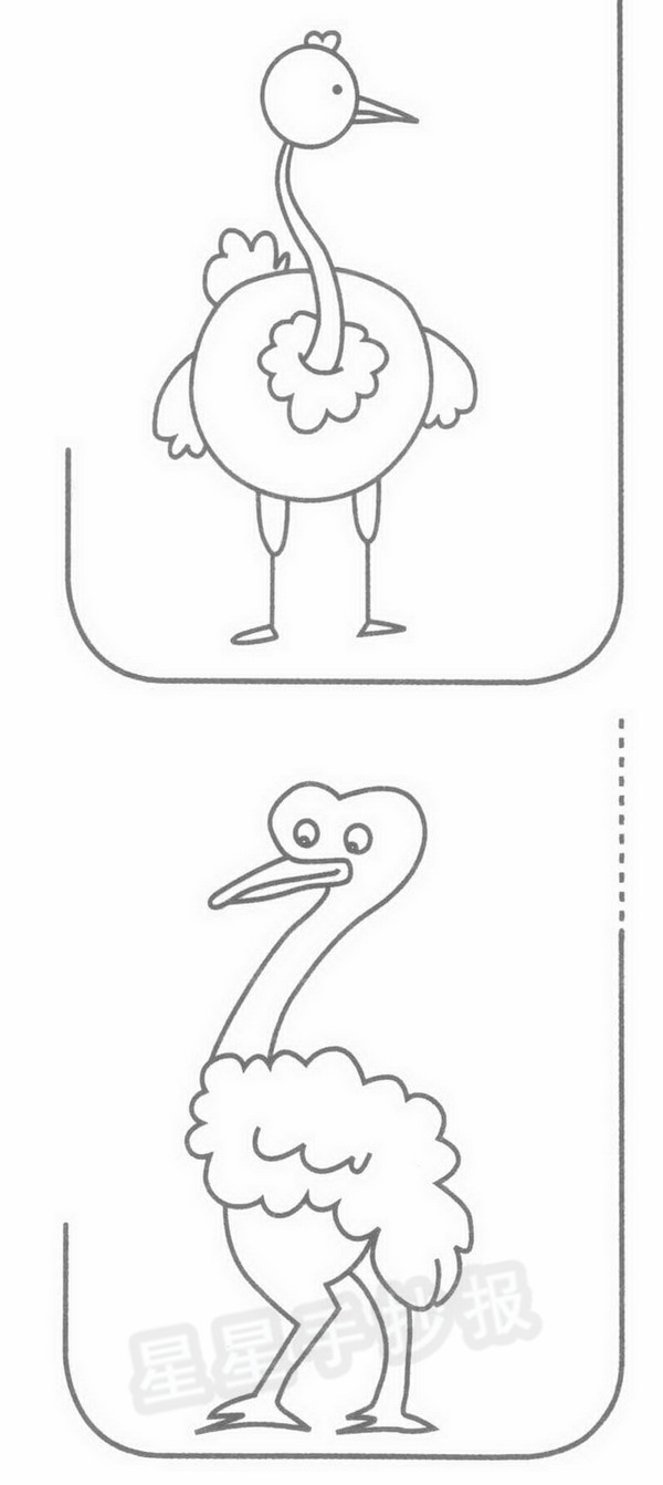 鸵鸟简笔画图片步骤教程