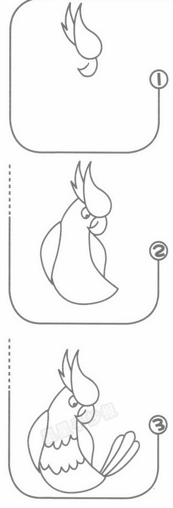 鹦鹉简笔画图片大全