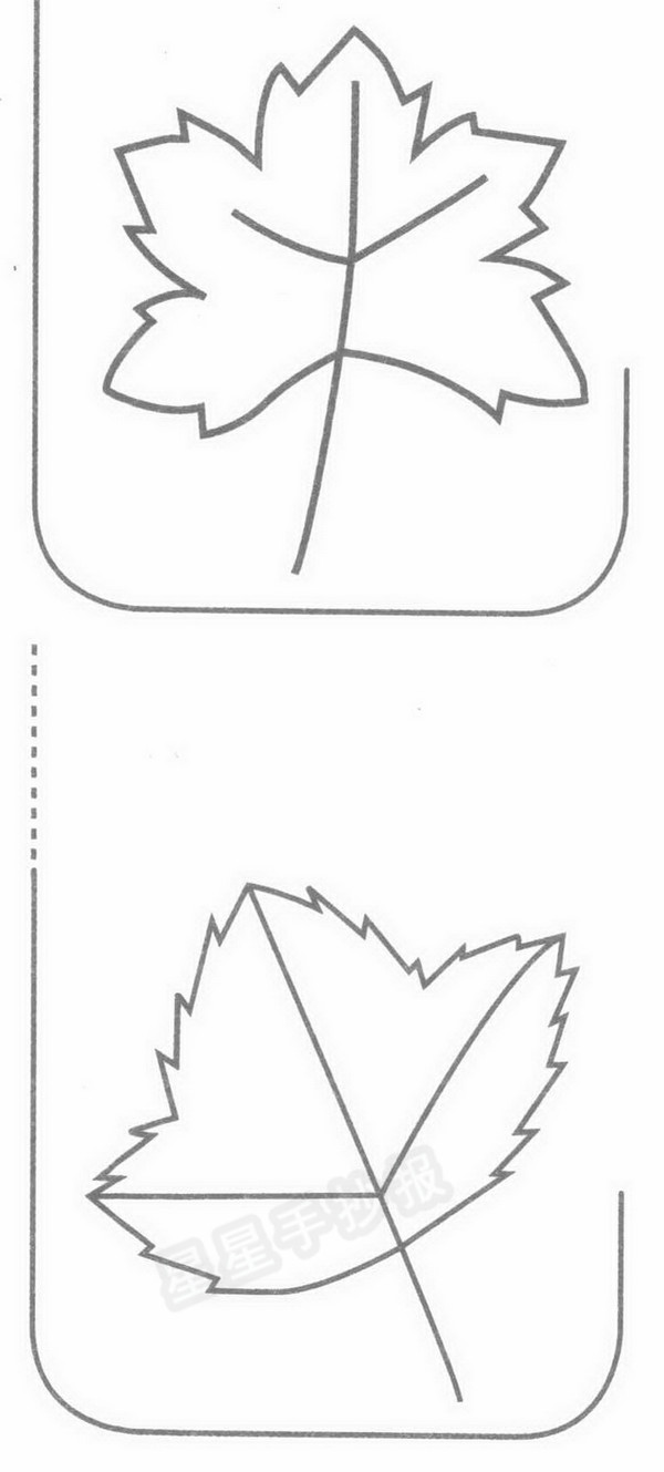 枫叶简笔画