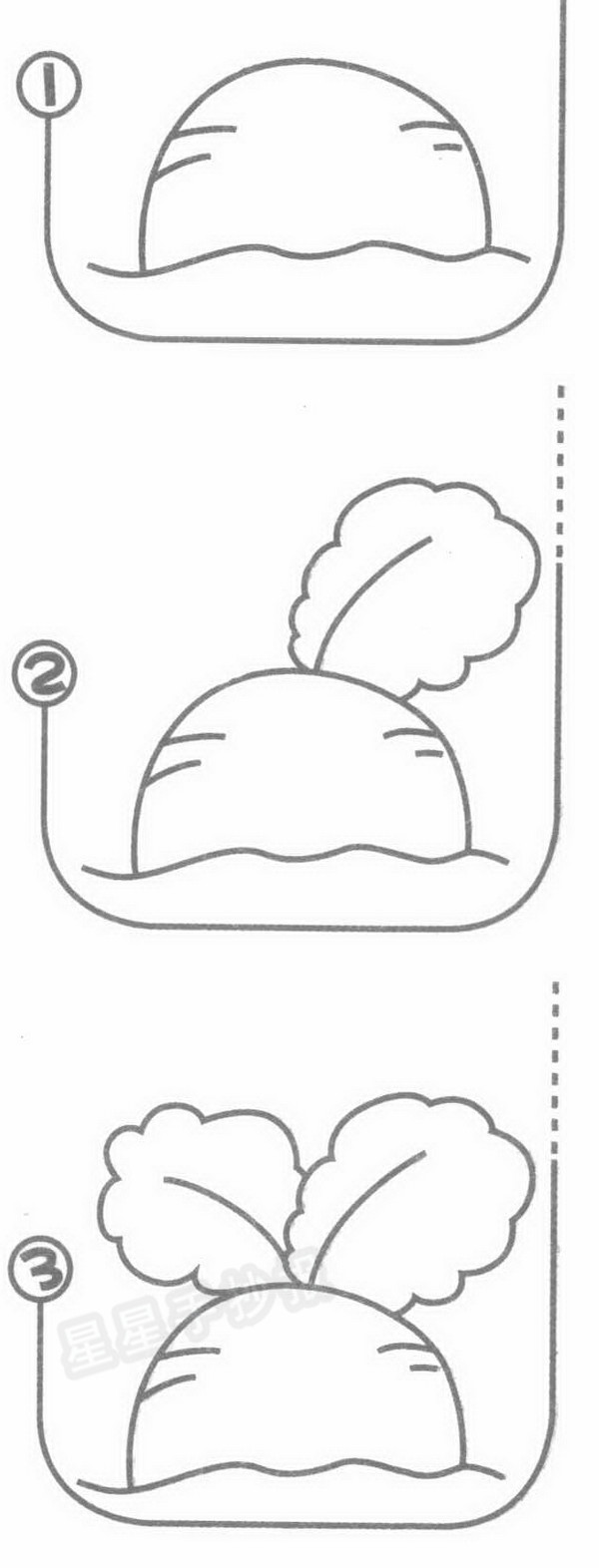 白萝卜简笔画图片