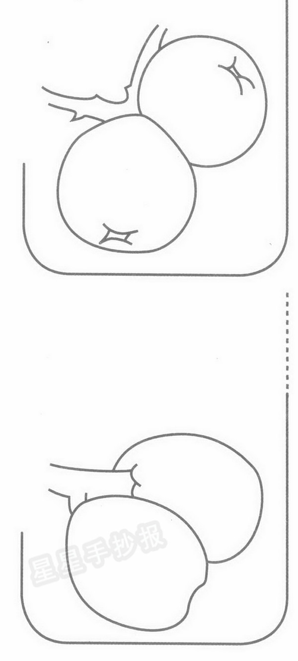 枇杷简笔画怎么画