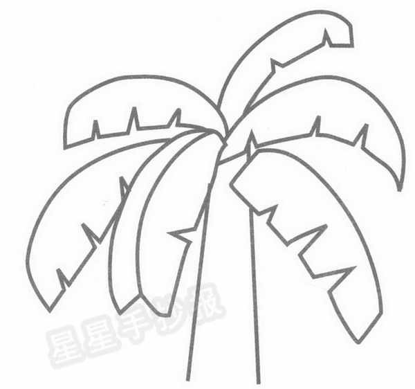 芭蕉树简笔画