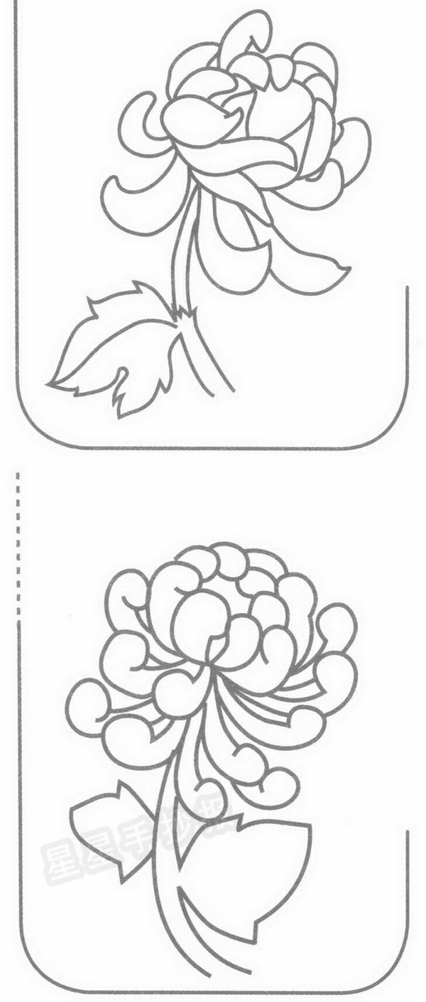 菊花简笔画图片画法