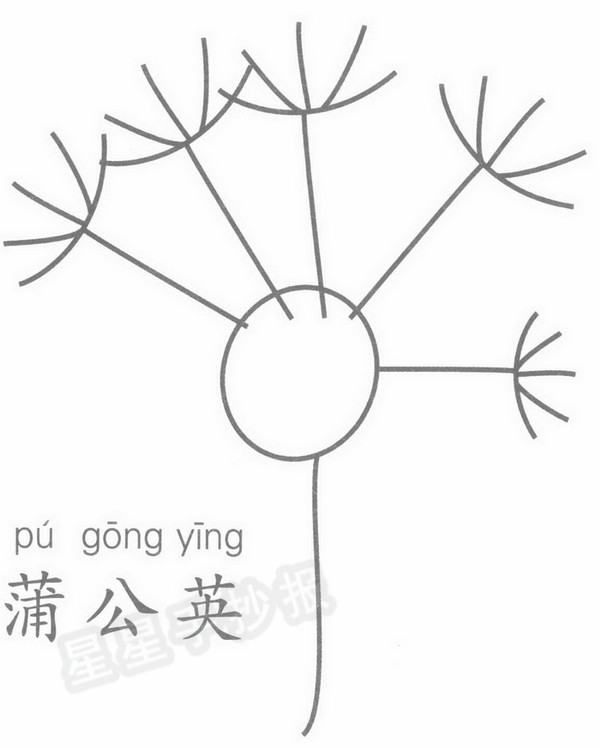 蒲公英简笔画简单画法