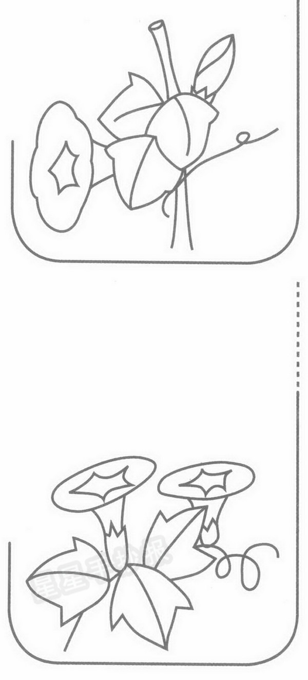 牵牛花简笔画图片画法