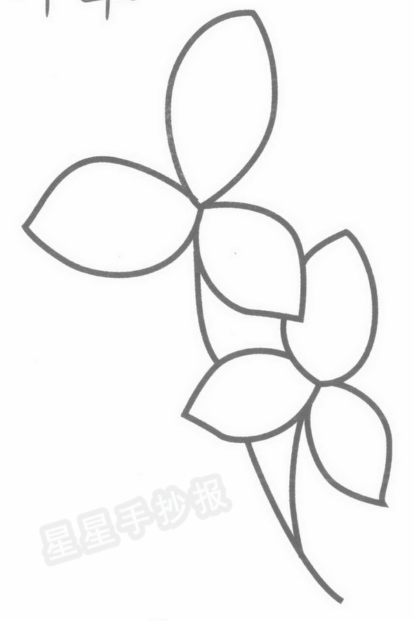 三叶草简笔画