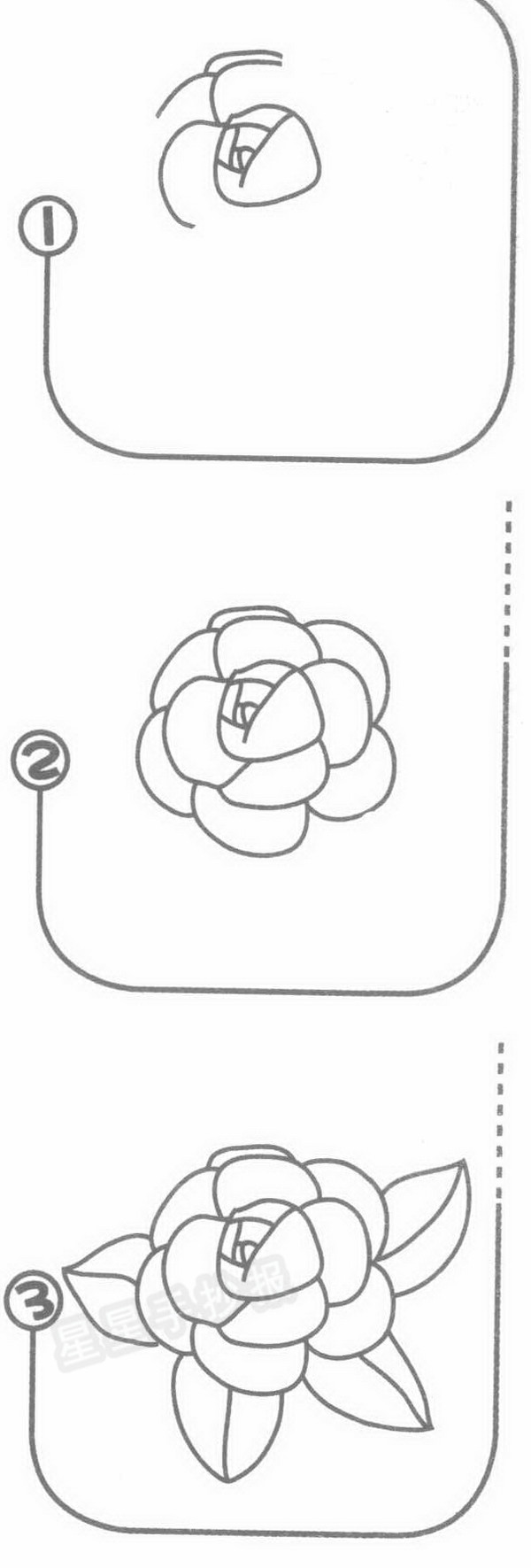 山茶花简笔画