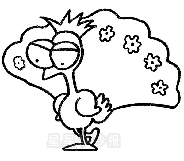 卡通孔雀简笔画