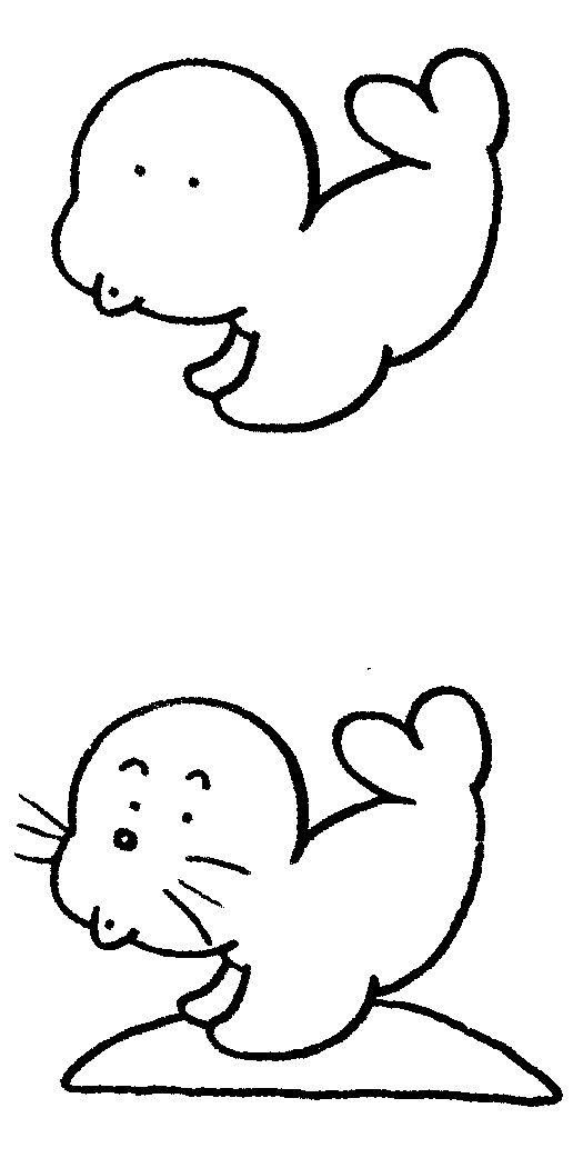 海狮简笔画图片教程