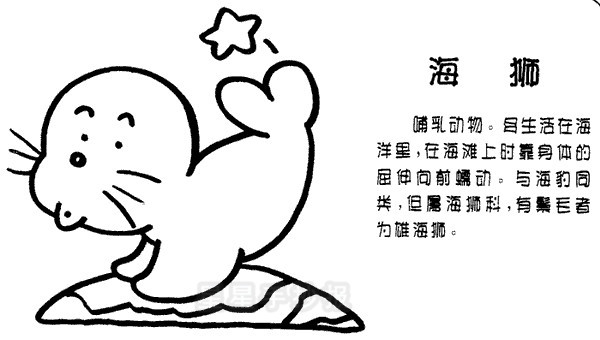 海狮简笔画图片教程