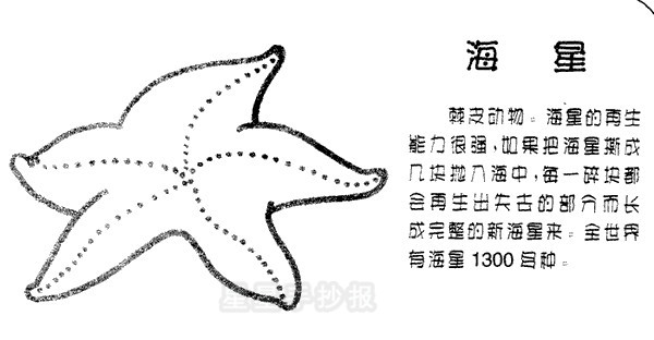海星简笔画图片教程