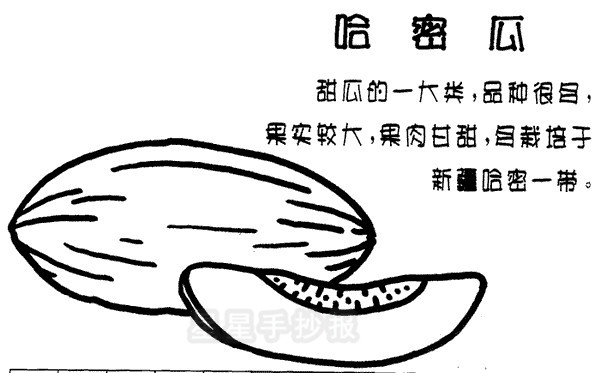 哈密瓜简笔画怎么画