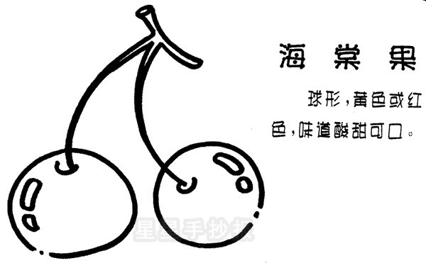 海棠果简笔画怎么画