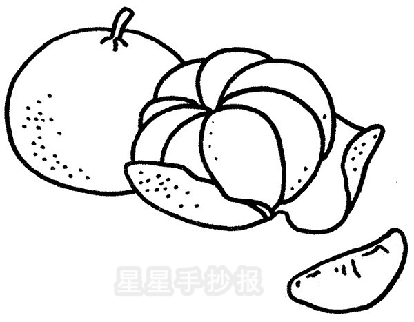 橘子简笔画图片画法