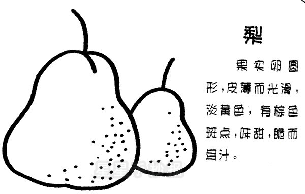 Ӽʻ